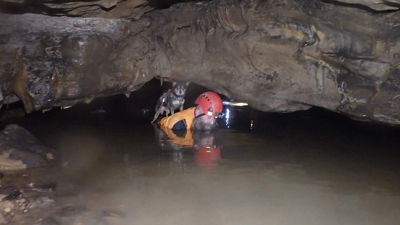 Polly stays dry on Erich Bell's back while exploring a private cave.