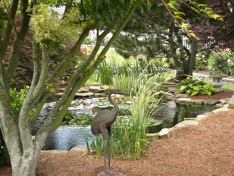 At the center of Jeff and Cindy Garrett's garden, participants in the free rose tour can enjoy the koi pond.
