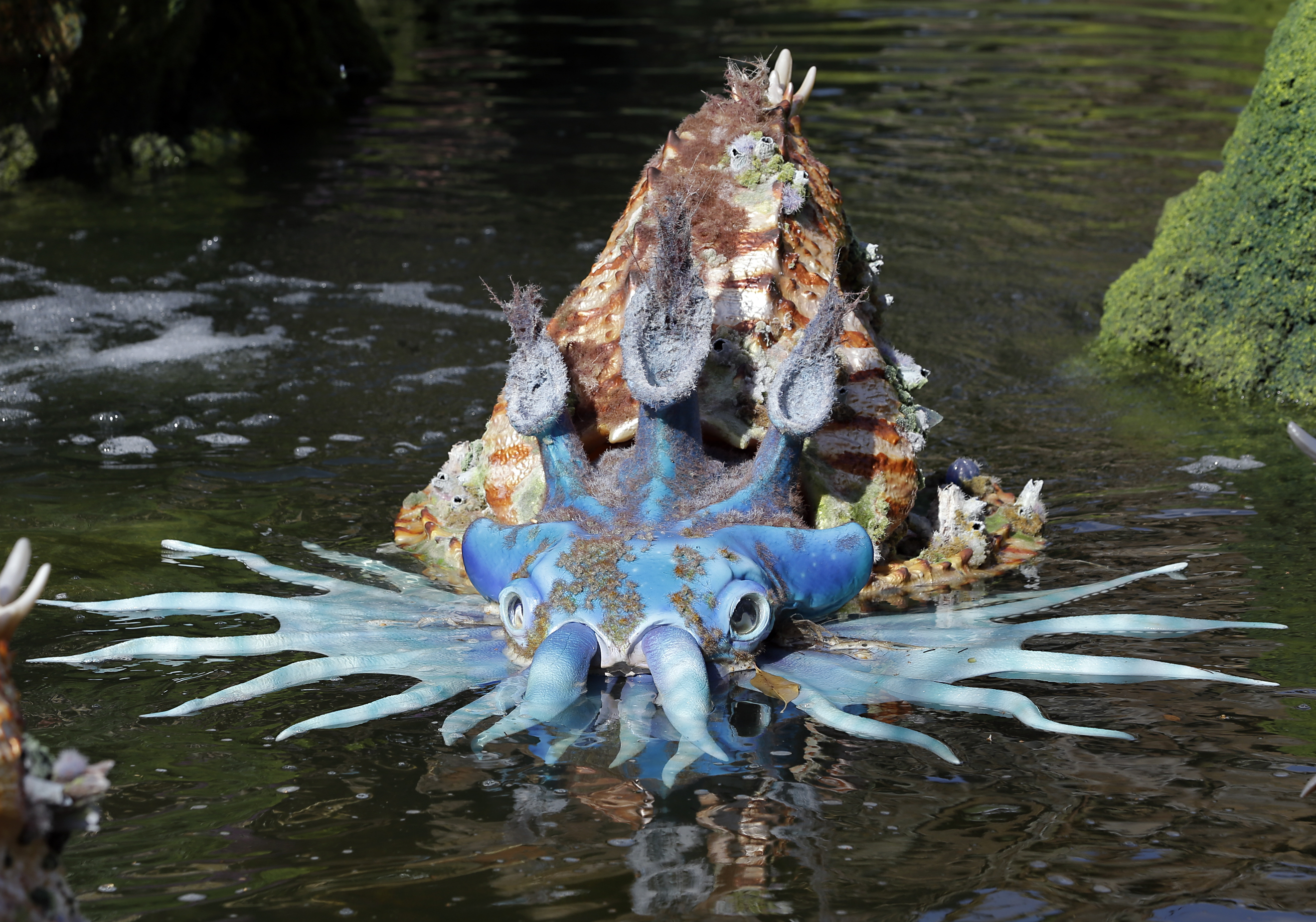 Pandora - The World of Avatar in Disney World's Animal Kingdom