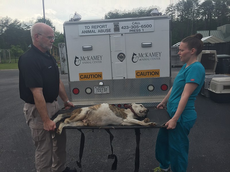 Reward offered for information on death of abandoned 'extremely thin ...