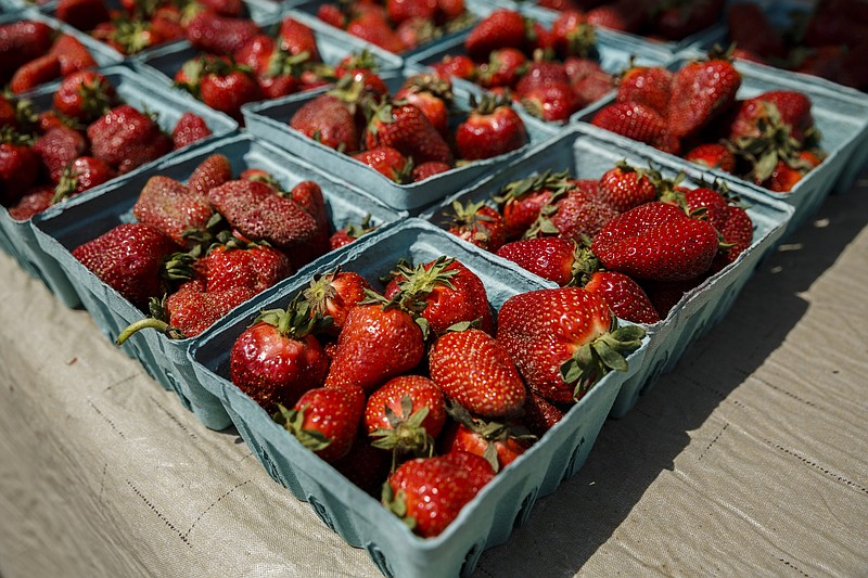 Strawberries from Mercier Orchards in Blue Ridge, Ga., are sold on the opening day of the Chattanooga Market at the First Tennessee Pavilion on Saturday, April 29, 2017, in Chattanooga, Tenn. The annual market features local vendors selling art, crafts, produce and artisan goods on Sundays until the fall.
