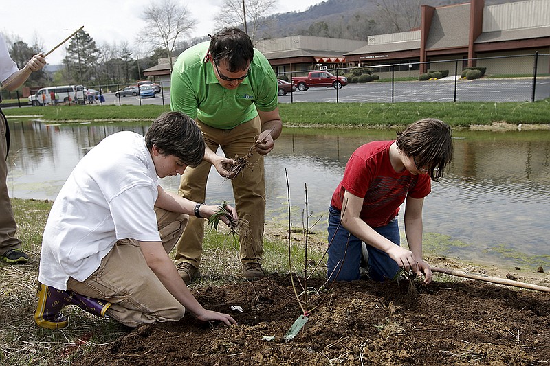 Michael Spehar, center, helps students plant native plants around a wetlands-type stormwater filtration and drainage system behind the Four Squares Business Center on Mountain Creek Road in this file photo. The system was completed in late 2015, and the variety of plants in and outside the pond help to filter stormwater that collects, and to provide habitat for insects and animals.