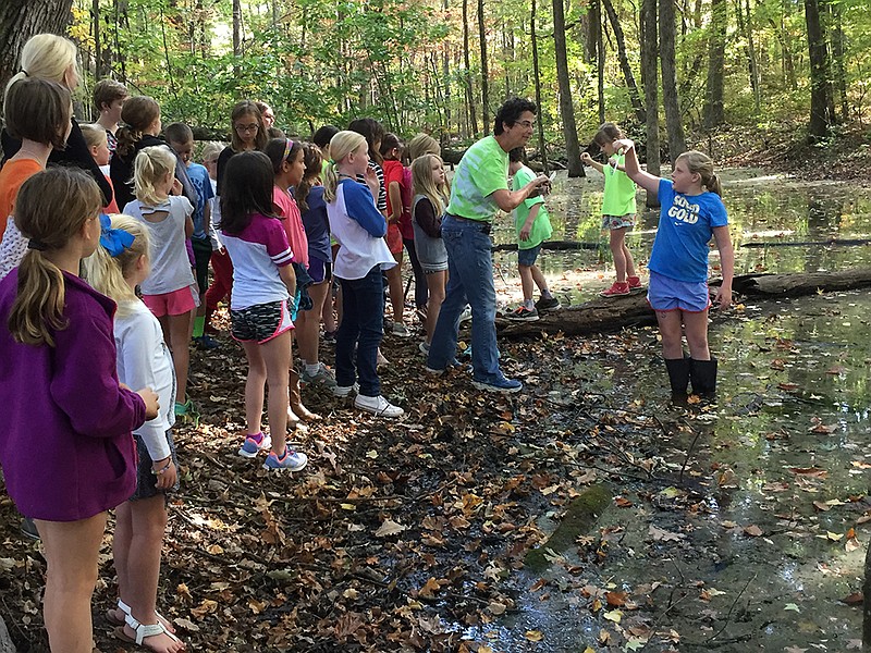 Stream Team kids hunt for critters at a creek in Spring Valley in Red Bank. (Contributed photo)