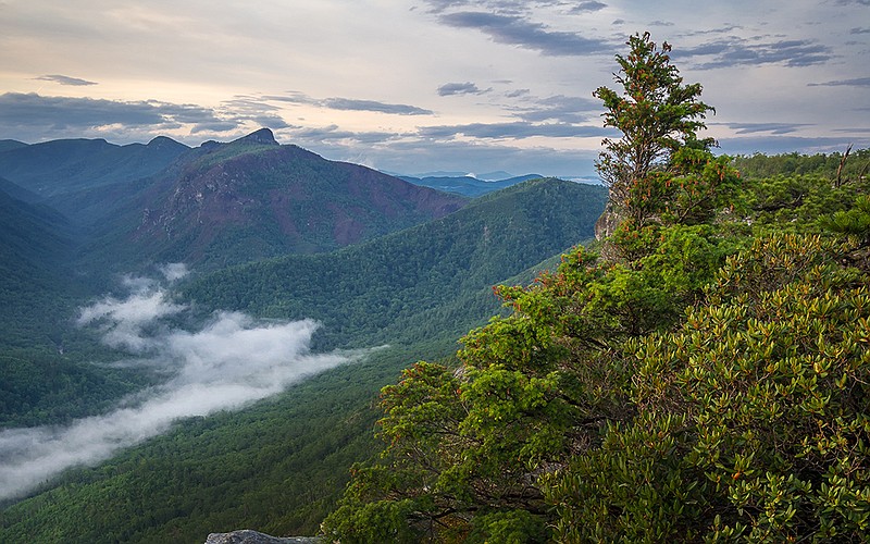 Preserving our outdoor spaces for everyone to use is why following Leave No Trace is so important.