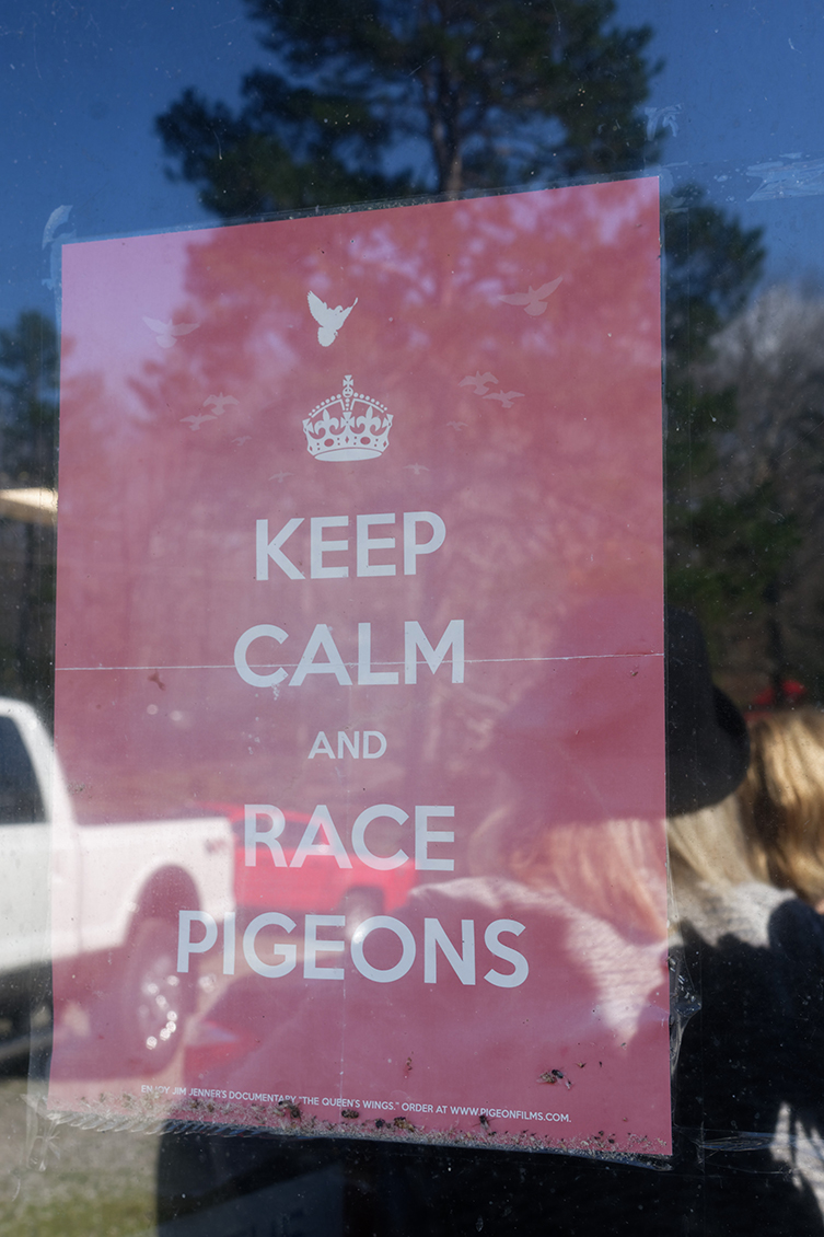Local fanciers Don Snow and T. Berokoff co-founded the Pigeon Veteran Outreach Connection, a project that uses racing homers like therapy animals to help local veterans. (Photo by Jennifer Woods)