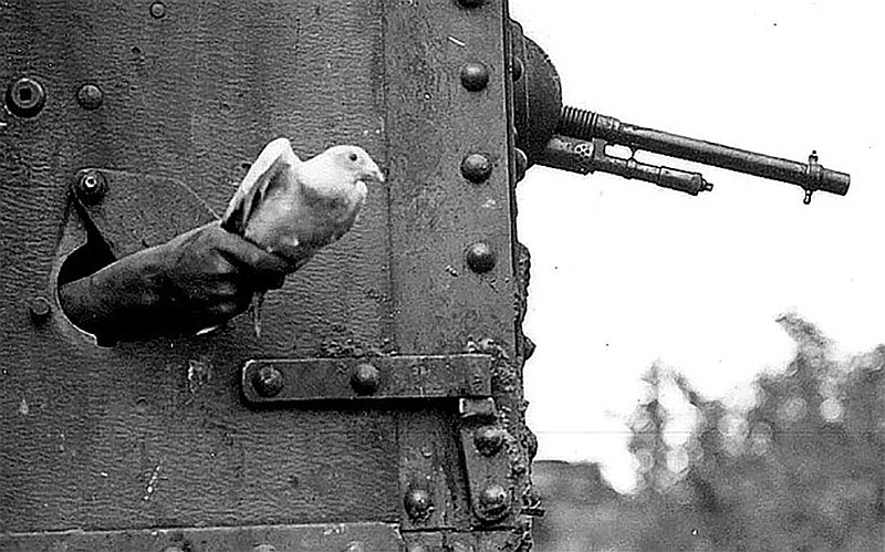 Through WWII, homing pigeons were considered the most reliable way for troops to communicate across the battlefield.