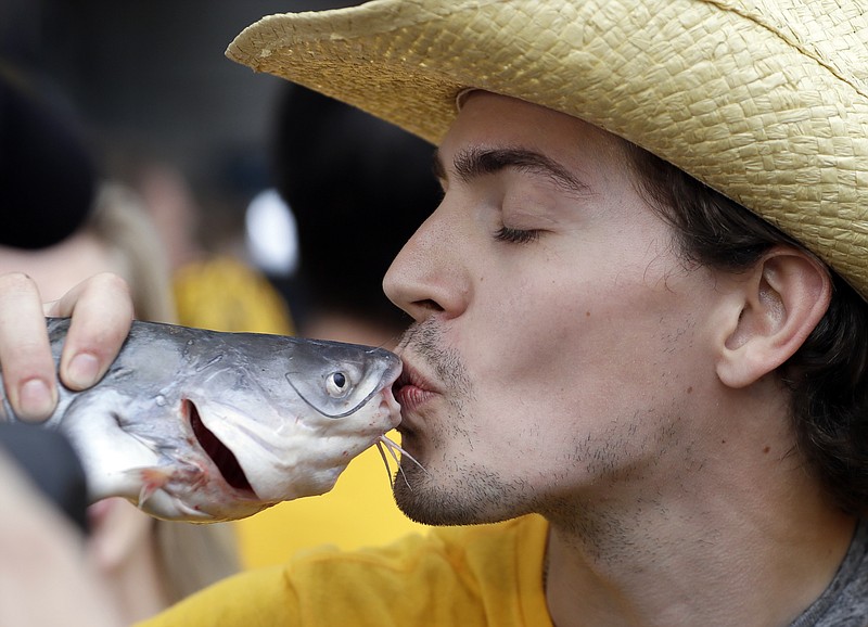 
              Will Carter, of Calgary, Alberta, Canada kisses a catfish outside the arena before Game 4 of the NHL hockey Stanley Cup Finals between the Nashville Predators and the Pittsburgh Penguins Monday, June 5, 2017, in Nashville, Tenn. Nashville fans have a tradition of throwing catfish on the ice during games. (AP Photo/Mark Humphrey)
            