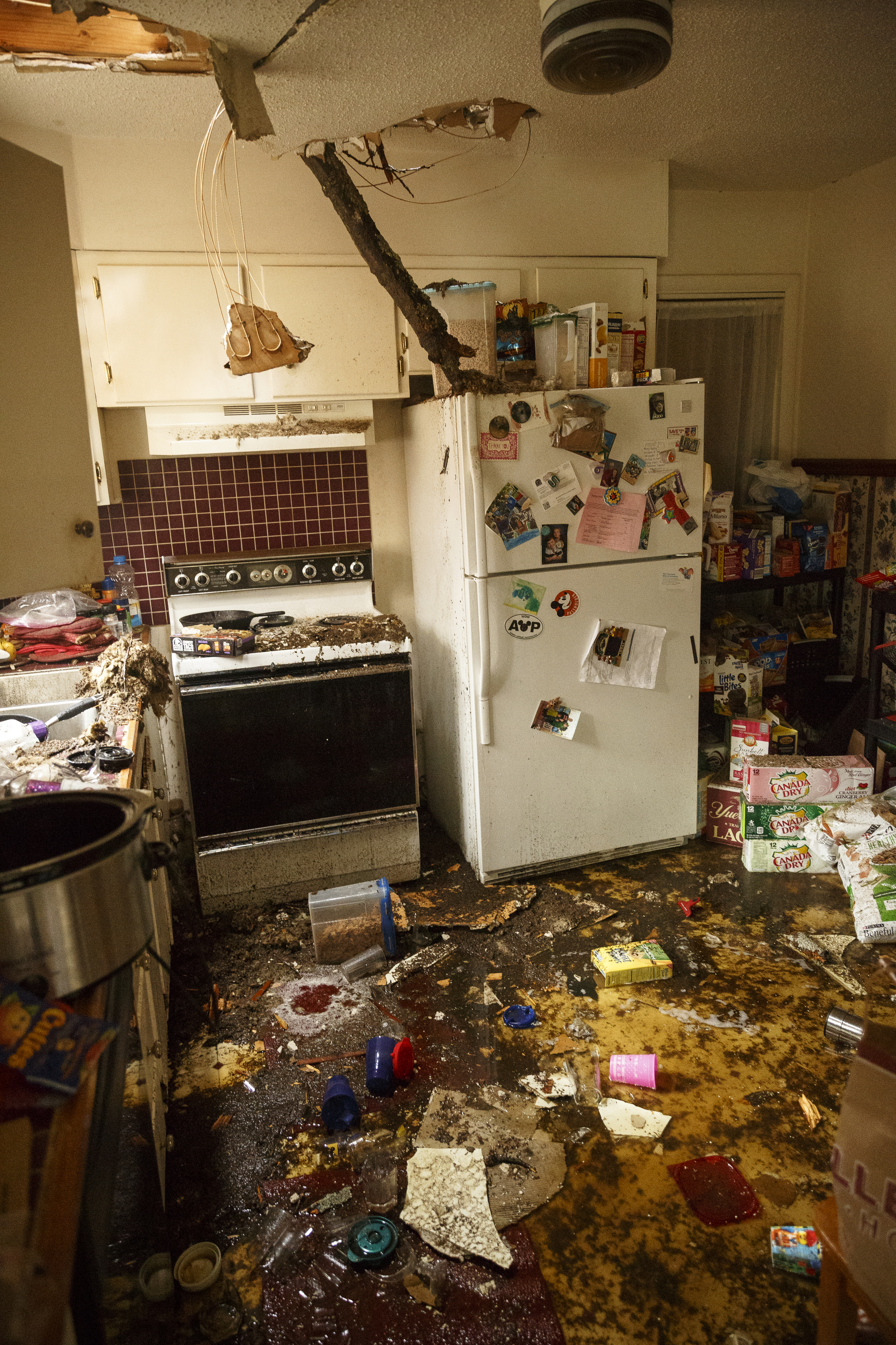 Storm damage is seen in Darrell Meece's kitchen after a tree fell on his home on Highland Drive on Wednesday, March 1, 2017, in Chattanooga, Tenn. Severe storms swept through the region Wednesday afternoon.