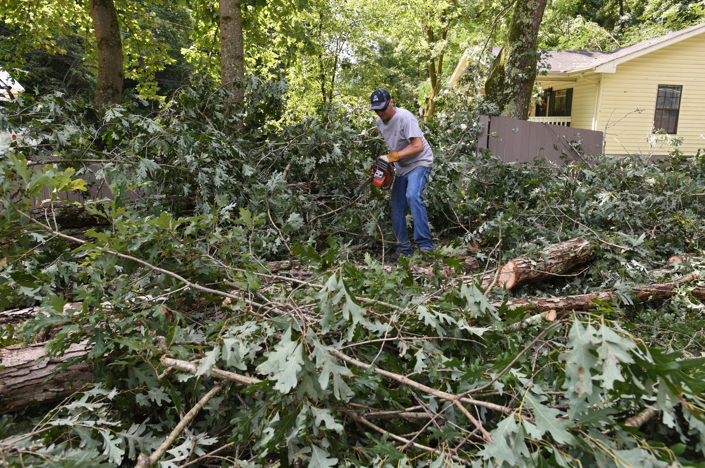 Jerry Bryan cuts trees in his daughter's Hedgewood Drive home in Red Bank Wednesday, July 15, 2015 after storms came through the area Tuesday.