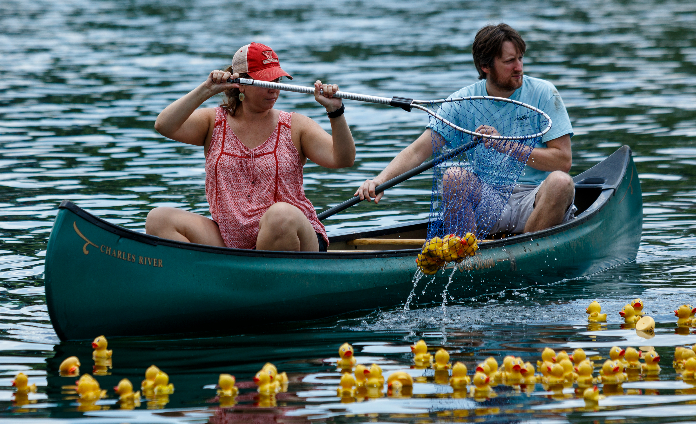 Volunteers fish rubber ducks out of the Tennessee River after the Great Kiwanis Duck Race on Saturday, June 17, 2017, in Chattanooga, Tenn. Thousands of rubber ducks were dropped from the Walnut Street Bridge to drift with the current downstream in a race to the finish, and proceeds for entries benefitted the Children's Advocacy Center of Hamilton County.