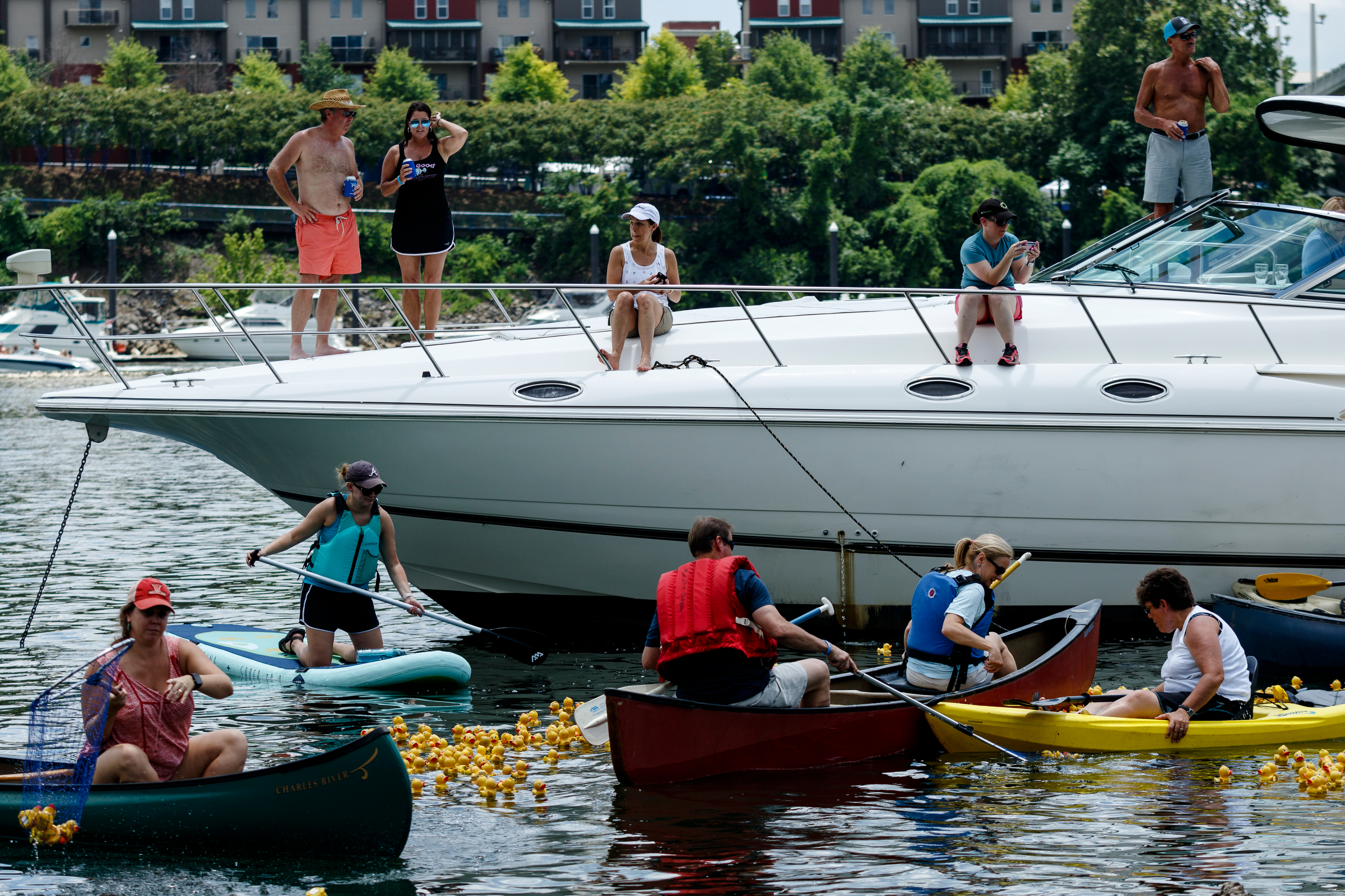 Volunteers fish rubber ducks out of the Tennessee River after the Great Kiwanis Duck Race on Saturday, June 17, 2017, in Chattanooga, Tenn. Thousands of rubber ducks were dropped from the Walnut Street Bridge to drift with the current downstream in a race to the finish, and proceeds for entries benefitted the Children's Advocacy Center of Hamilton County.