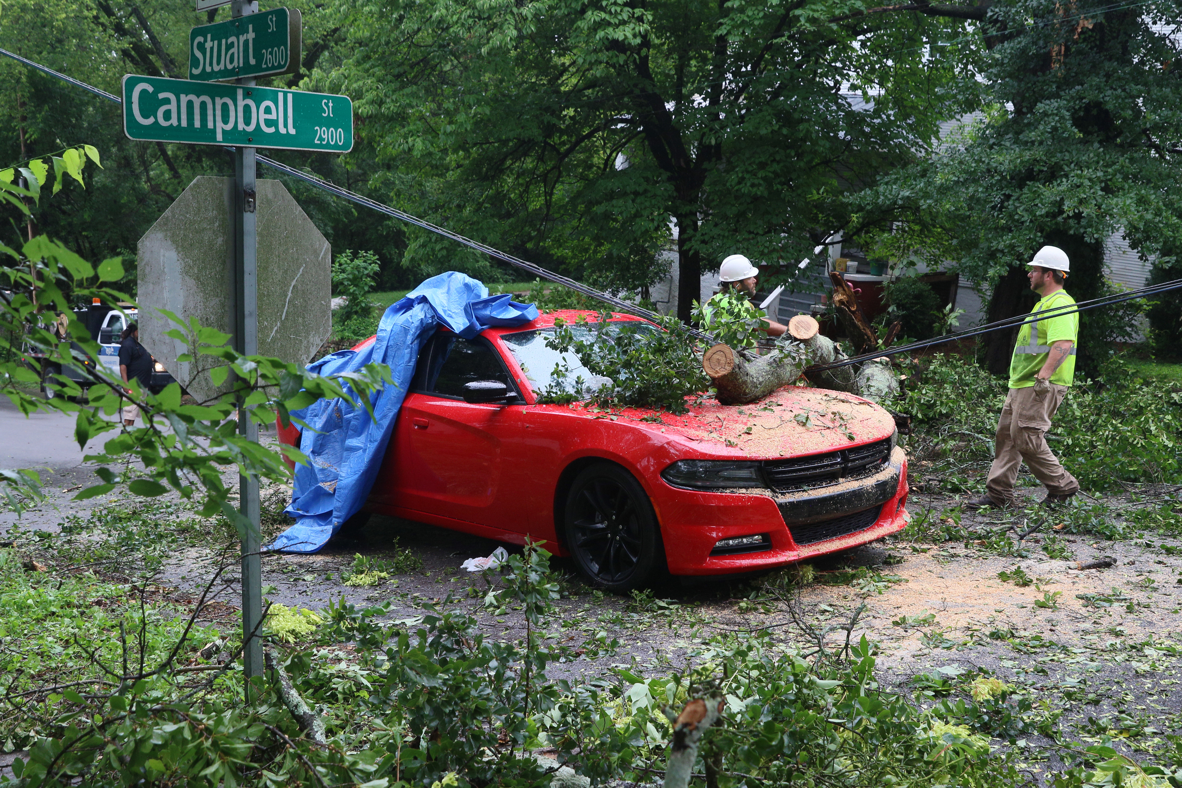 After heavy rains, a tree fell on a car at the corner of Stuart Street and Campbell Street on Thursday, June 22, 2017, in Chattanooga, Tenn. No one was hurt in the incident.