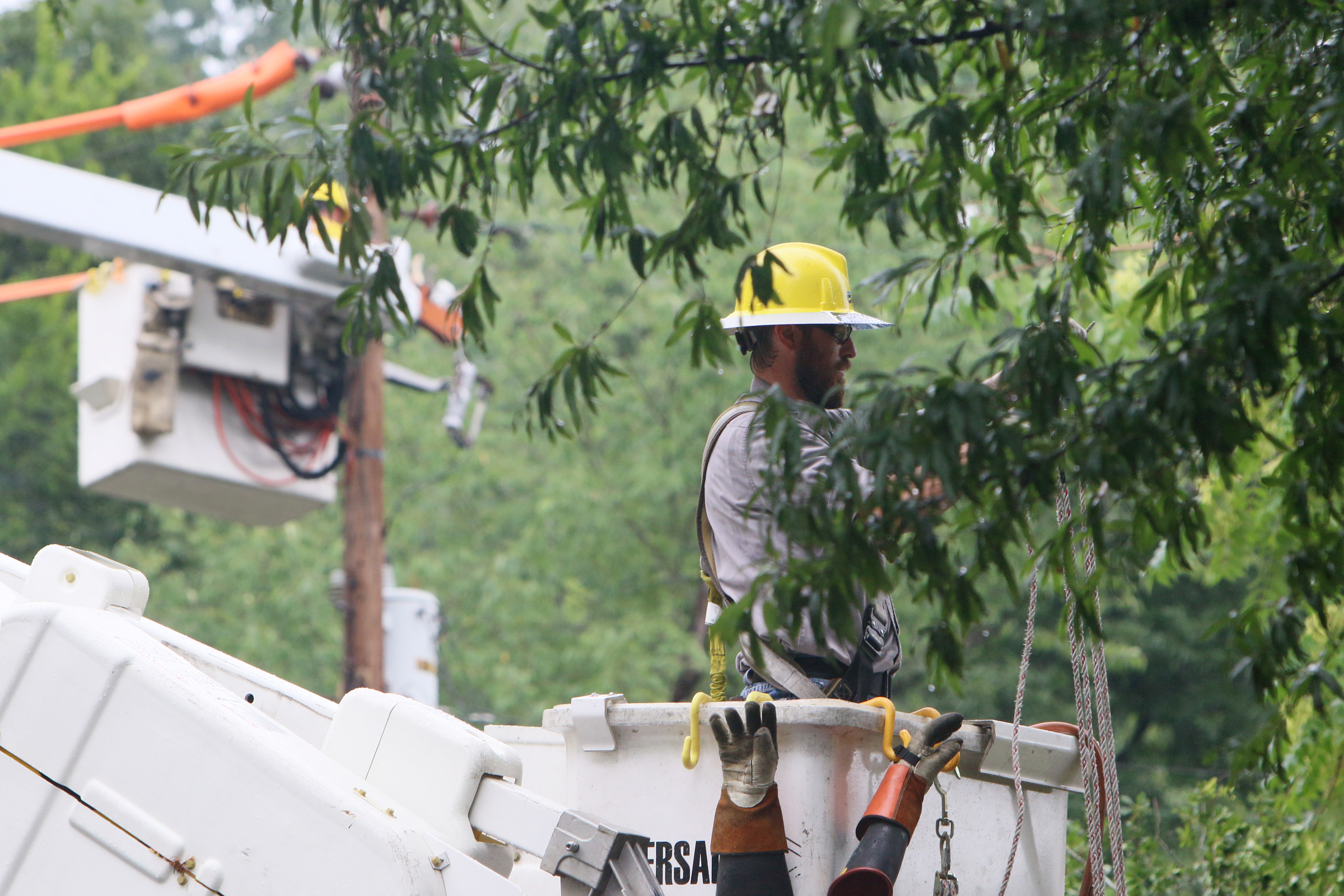 Jeremy Mauldin, a lineman with Service Electric contracting for EPB, works to fix power lines where a tree fell on a car at the corner of Stuart Street and Campbell Street on Thursday, June 22, 2017, in Chattanooga, Tenn. Roads were blocked and utility workers were on scene for a few hours repairing power lines and removing the tree from the car.