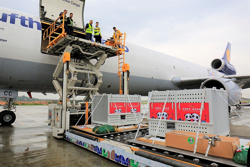 
              In this photo released by China's Xinhua News Agency, containers carrying the giant pandas Meng Meng and Jiao Qing are loaded onto a Lufthansa cargo plane for a flight to Germany at an airport in Chengdu in southwestern China's Sichuan province, Saturday, June 24, 2017. The pair of pandas will be housed at the Berlin Zoo after their arrival in Europe. (Xinhua via AP)
            