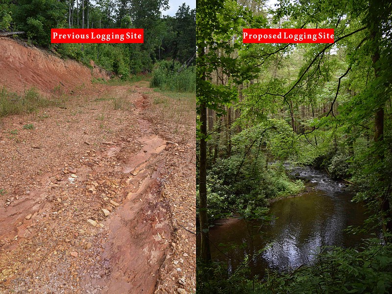 Left: Soil continues to erode down to the chert layer at the former logging site in Polk County, Tenn. called the "Island Creek/Hogback sale" atop Sylco Ridge south of Parksville Lake. Right: Local conservationists are worried erosion from a proposed logging project, the "Dinkey sale," along Tumbling Creek, a trout stream in the mountains west of Copperhill, Tenn., could cause significant damage to the environment. 