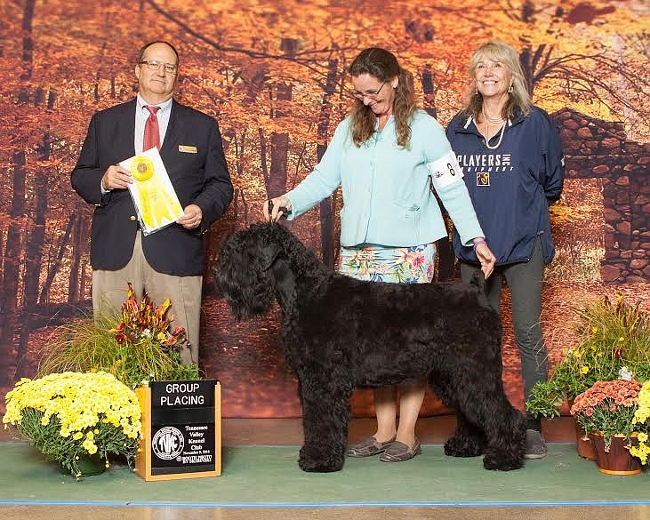 Sarah Gaunt, right, stands with her Black Russian Terrier Stella at the Tennessee Valley Kennel Club.