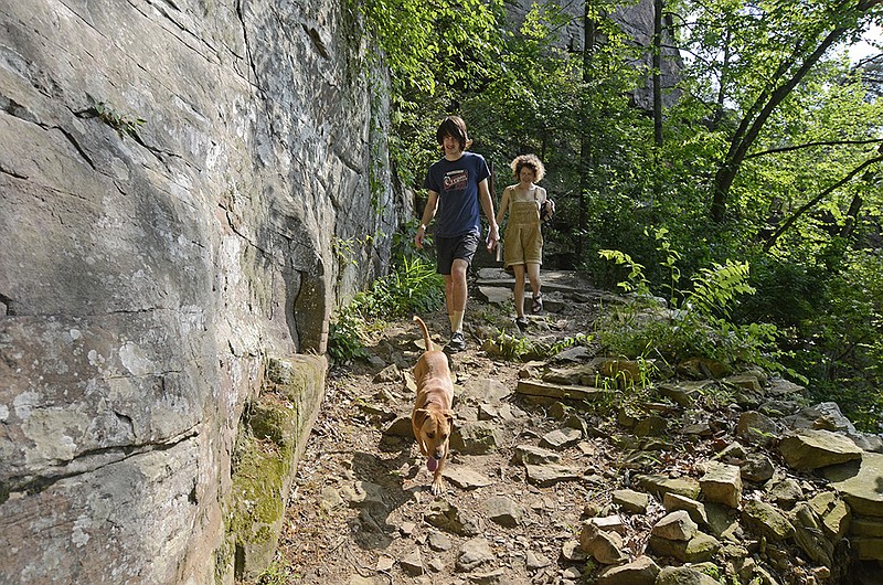 May 1, 2012-- Darlin leads the way as Devin Robinson, left, and Megan Lane hike the Sunset Rock trail Tuesday on Lookout Mountain. She and hiking partner Devin Robinson said they had found several ticks on themselves and Darlin on a different trail.