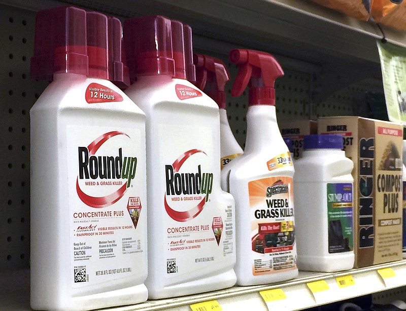 
              In this Thursday, Jan. 26, 2017, photo, containers of Roundup, left, a weed killer is seen on a shelf with other products for sale at a hardware store in Los Angeles. California regulators are taking a pivotal step toward requiring the popular weed killer Roundup to come with a warning label. The state's Office of Environmental Health Hazard Assessment announced Monday, June 26, 2017, that the weed killer's main ingredient, glyphosate, will be listed in July as a chemical known to cause cancer. (AP Photo/Reed Saxon)
            