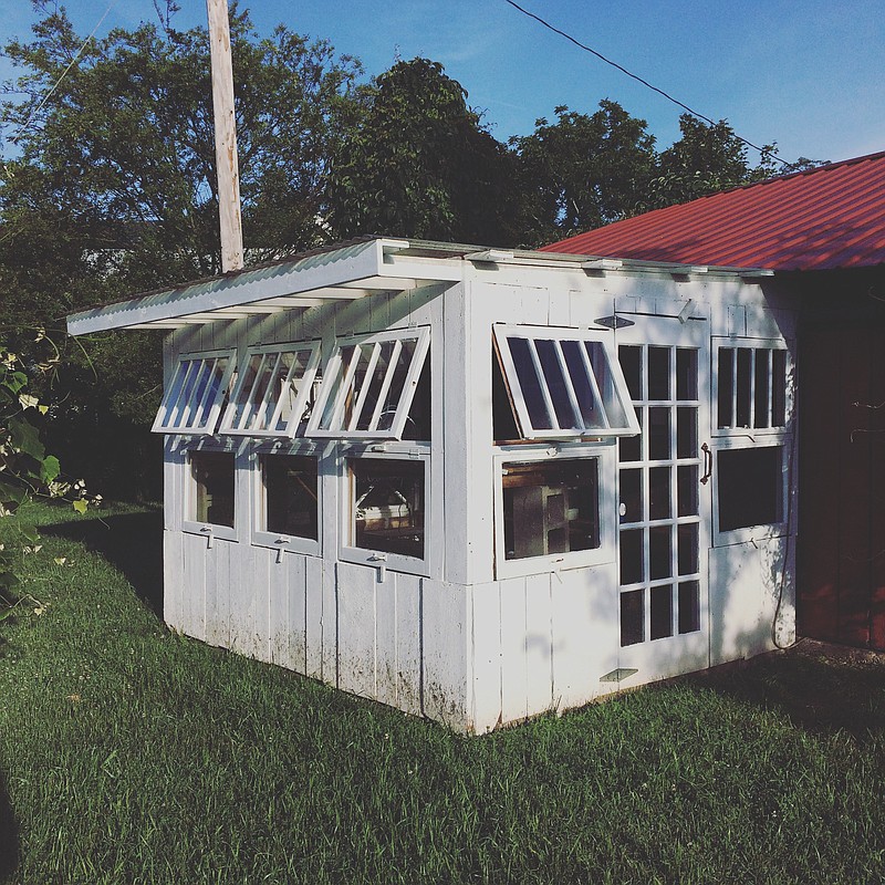 Morgan Sharpe's greenhouse, where some of Creekside Flower Farm's many flowers are grown.