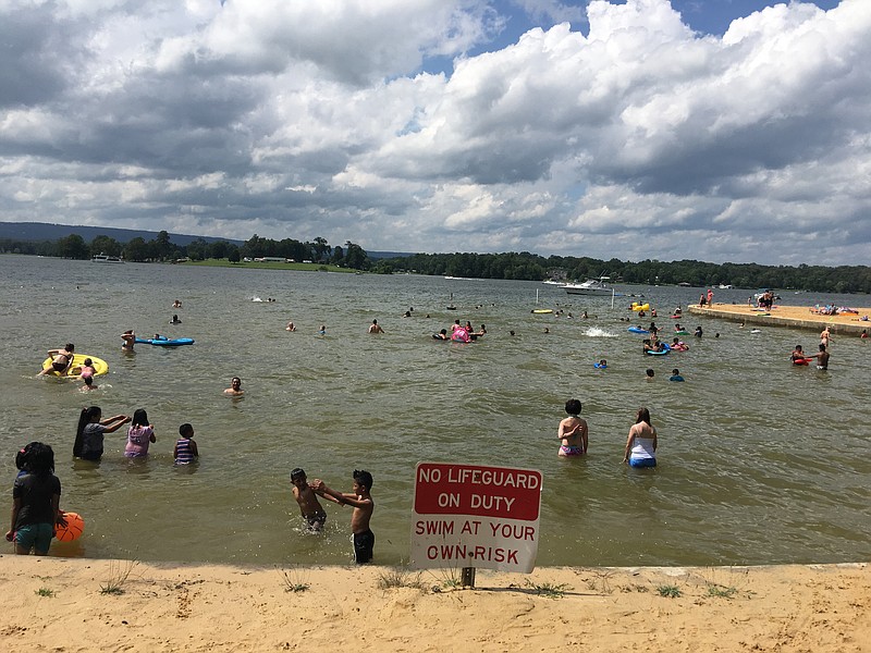 Swimmers take to the water at Chester Frost Park on July 4.