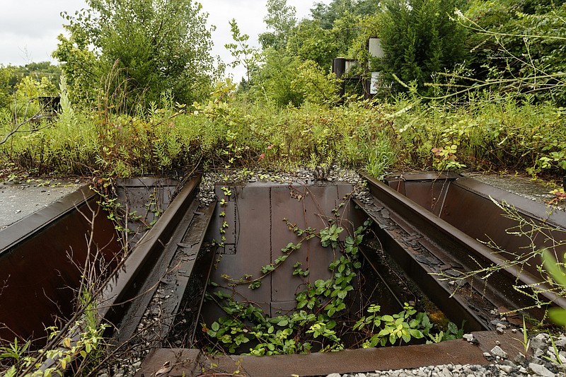 An overgrown CSX railway corridor which runs parallel to North 33rd Street is seen on Friday, July 7, 2017, in Chattanooga, Tenn. The corridor will be converted into a greenway which will run from Southside Park to the new Tennessee Riverwalk connector near St. Elmo Avenue.