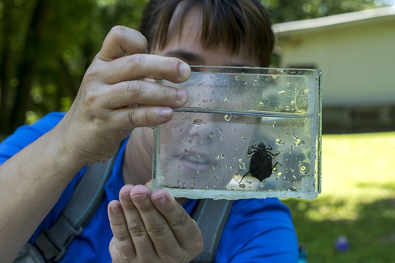 Sammi Eubanks, a Stewards AmeriCorps VISTA member, shows a dragonfly larval phase from the South Chickamauga Creek.