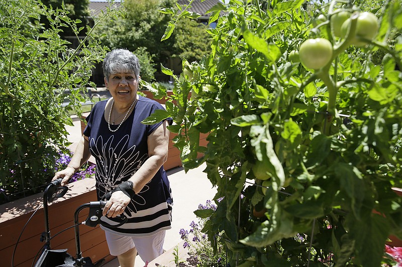 
              In this photo taken July 12, 2017, Cynthia Guzman walks through a garden outside her home in Napa, Calif. Guzman underwent a special kind of PET scan that can detect a hallmark of Alzheimer’s and learned she didn’t have that disease as doctors originally thought, but a different form of dementia. New research suggests those scans may lead to changes in care for people with memory problems that are hard to diagnose. (AP Photo/Eric Risberg)
            