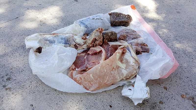 
              This photo provided by Austin Adair taken Saturday, July 15, 2017, shows a 15-pound bag of frozen pork that fell from the sky onto the home of Travis Adair in Fort Lauderdale, Fla. The home is near three airports, so Adair thinks it fell from a plane. (Austin Adair via AP)
            