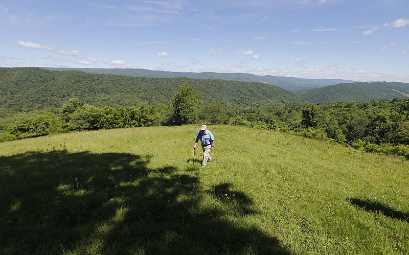 
              FILE - In a Tuesday June 6, 2017 file photo, hydrologist William K. Jones, walks up a mountain near the route of the proposed Atlantic Coast Pipeline in Bolar, Va.   The Federal Energy Regulatory Commission, which oversees interstate natural gas pipelines, released its final environmental impact statement Friday, July 21, 2017 for the proposed 600-mile (965-kilometer) pipeline, which has broad support from political and business leaders but is staunchly opposed by environmentalists and many affected landowners. (AP Photo/Steve Helber, File)
            