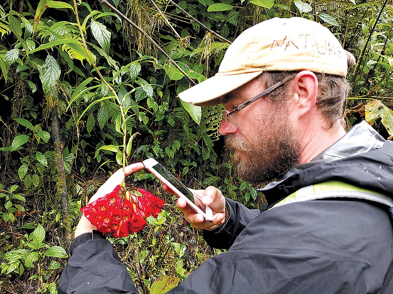 Jonathan Carpenter photographs a flowering plant in Costa Rica to upload for identification on iNaturalist.