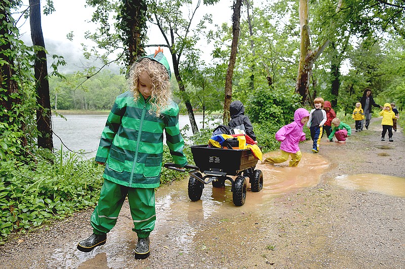 Students from Wauhatchie School's forest kindergarten class make the rainy, quarter-mile walk to the school's outdoor site, where, every weekday, children spend three hours in unstructured play. (Photo by Sunny Montgomery)