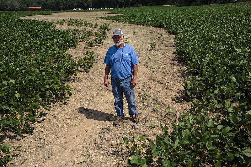 Staff photo by Doug Strickland / Alan Scoggins stands in a stretch of dirt where soybeans could not be planted because of wet conditions on the Scoggins family farm on Friday, July 21, 2017, in LaFayette, Ga. Last year, the farm's yield was badly impacted by an exceptionally dry summer, and this year's wet weather has also effected the amount of soybeans they could plant.
