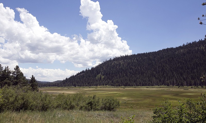 
              In this Tuesday, July 25, 2017 photo, clouds float near the Lower Carpenter Valley near Truckee, Calif.  The wild Sierra Nevada meadow hidden from public view for more than a century is opening for tours after it was purchased by conservation groups. The Lower Carpenter Valley land north of Lake Tahoe contains rare carnivorous plants and threatened birds and serves as a migration corridor for other species. (AP Photo/Rich Pedroncelli)
            