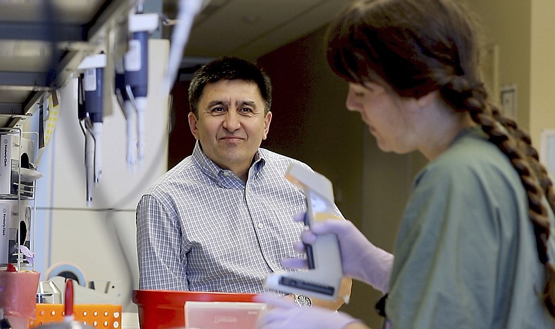 
              In this photo provided by Oregon Health & Science University, taken July 31, 2017, Shoukhrat Mitalipov, left, talks with research assistant Hayley Darby in the Mitalipov Lab at OHSU in Portland, Ore. Mitalipov led a research team that, for the first time, used gene editing to repair a disease-causing mutation in human embryos, laboratory experiments that might one day help prevent inherited diseases from being passed to future generations.  (Kristyna Wentz-Graff/Oregon Health & Science University via AP)
            