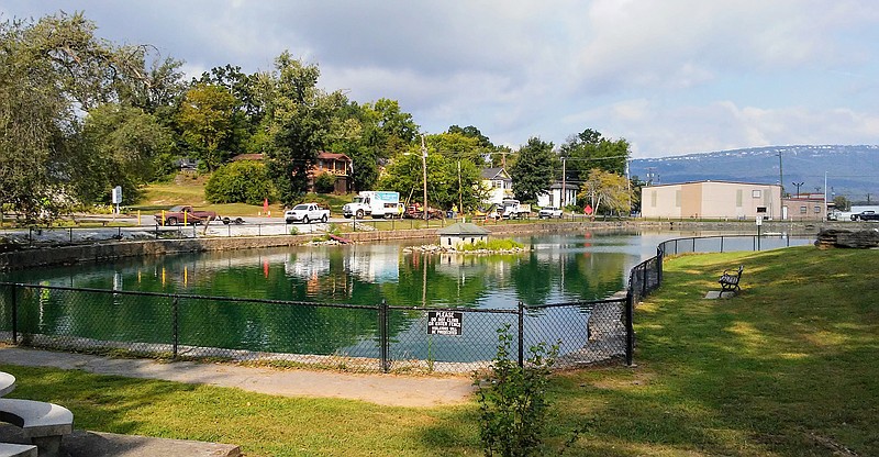 The duck pond in Rossville, Ga., behind the Food City supermarket downtown, that the city will redo and rebrand as "John Ross Commons."