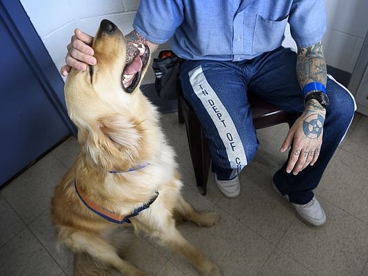 Robert, an inmate at the Turney Center Industrial Complex in Only, Tenn., works with Mack, who is going to Cody Joss through the Retrieving Independence nonprofit. (Lacy Atkins/The Tennessean)