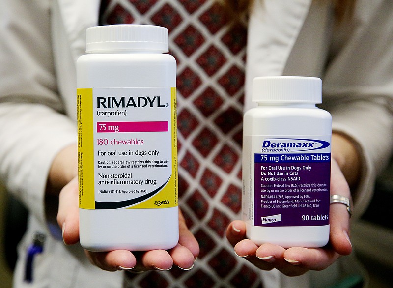 Dr. Erin Felty shows two medications specifically for dogs that should be used instead of human pain medication at the Riverview Animal Hospital Tuesday, July 18, 2017, in Chattanooga, Tenn. Felty warns against the use of Ibuprofen for animals due to toxic side effects. 