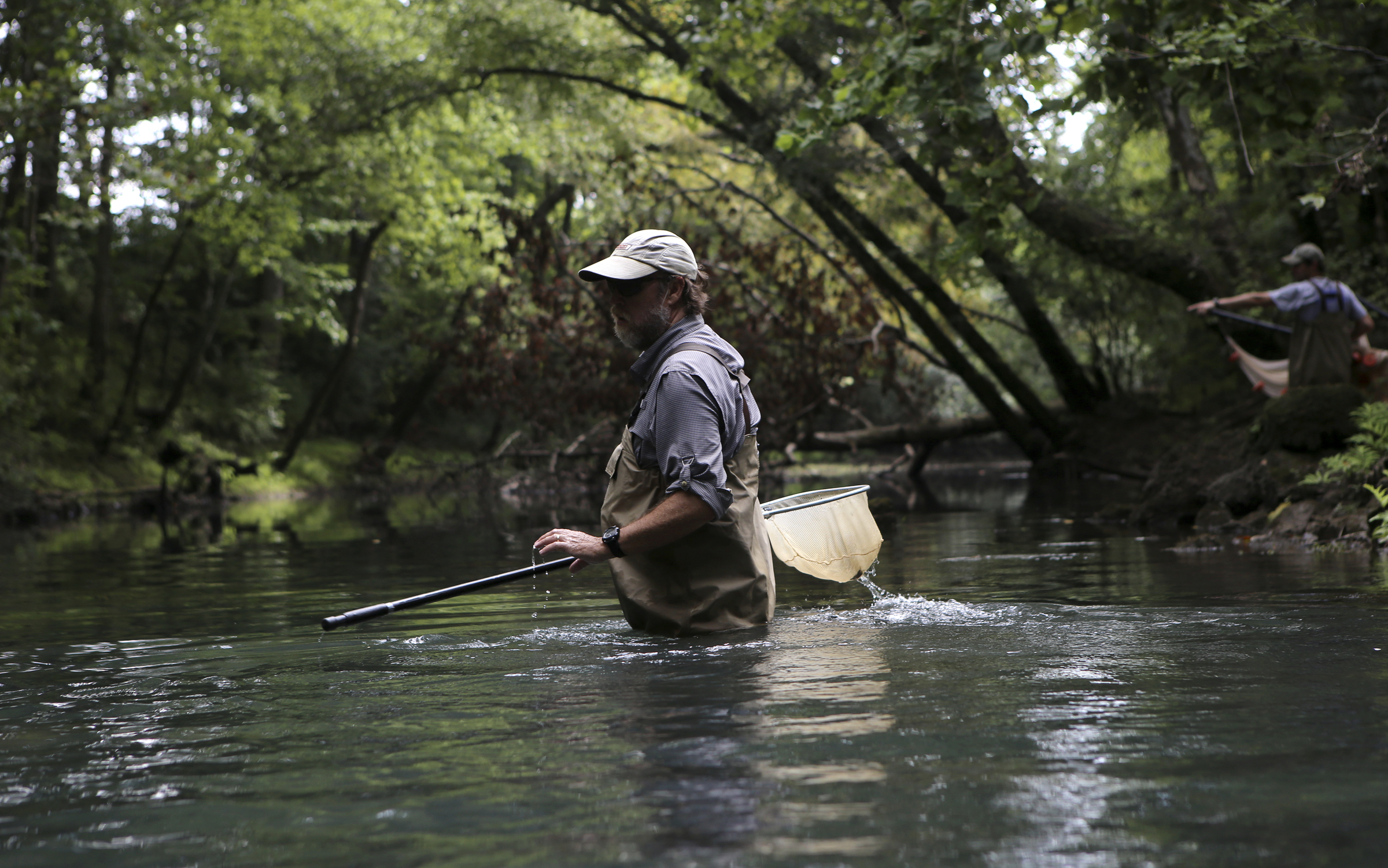 TVA Aquatic Zoologist David Matthews looks over the water in North Chickamauga Creek before collecting samples as part of a team on Tuesday, Aug. 15, in Hixson, Tenn. Aquatic conservationists using a combination of tools, including a backpack electrofisher, to survey the health of area waterways and their inhabitants.
