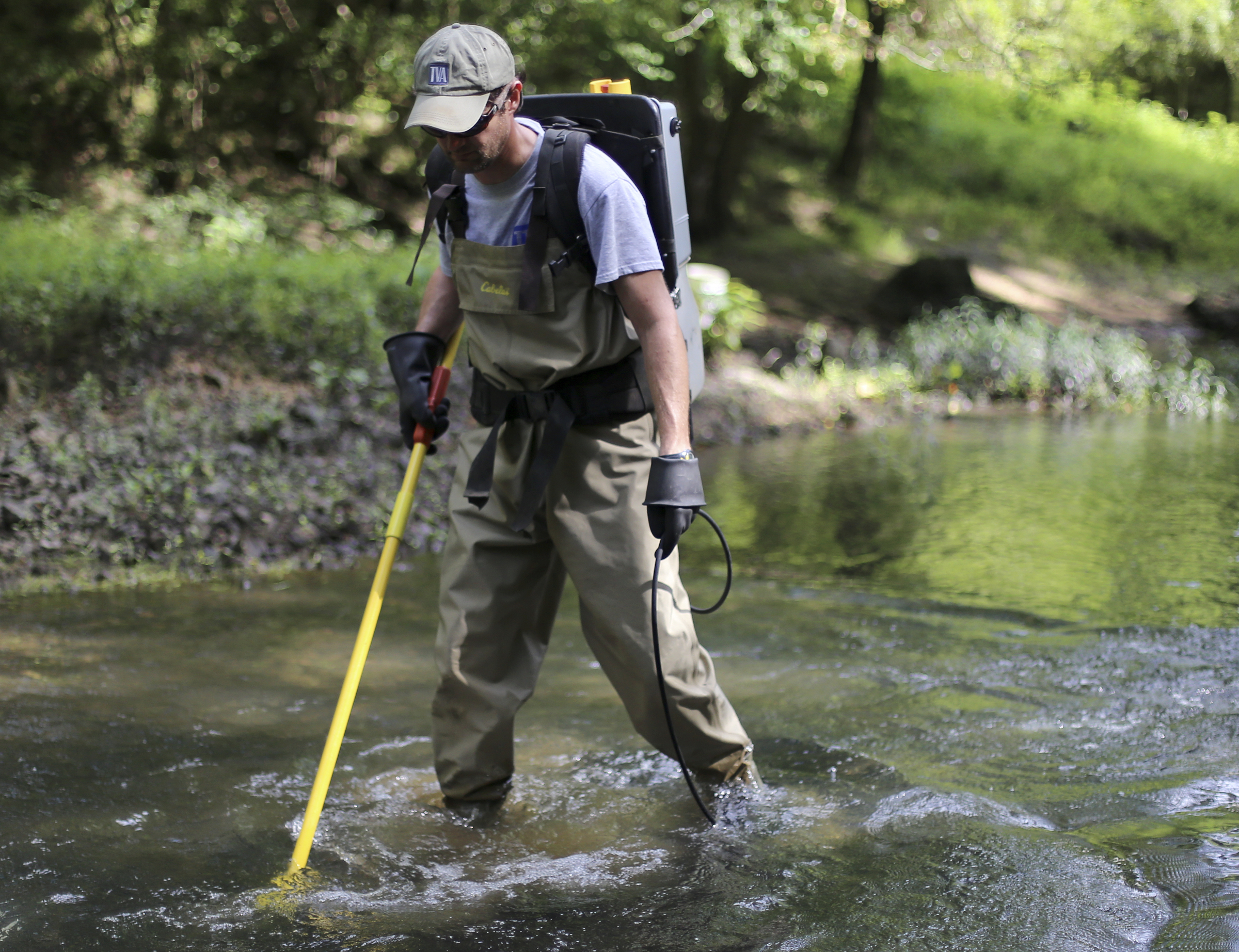 TVA Aquatic Zoologist Jeff Simmons combs the water in North Chickamauga Creek with a backpack electrofisher on Tuesday, Aug. 15, in Hixson, Tenn. Aquatic conservationists using a combination of tools, including a backpack electrofisher, to survey the health of area waterways and their inhabitants.