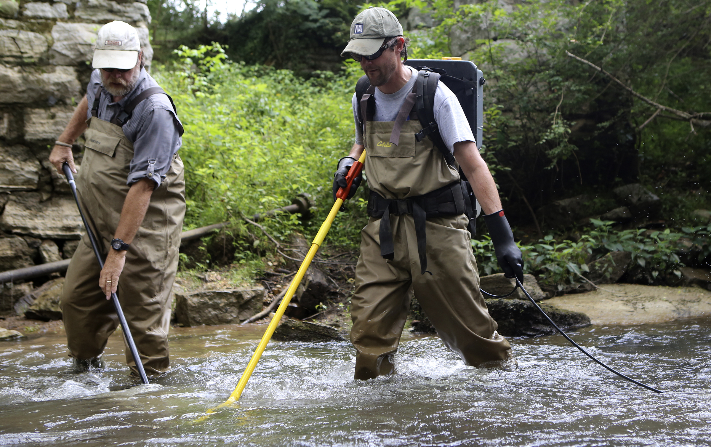 TVA Aquatic Zoologists David Matthews, left, and Jeff Simmons comb the water in North Chickamauga Creek with a net and a backpack electrofisher, respectively, on Tuesday, Aug. 15, in Hixson, Tenn. Aquatic conservationists using a combination of tools, including a backpack electrofisher, to survey the health of area waterways and their inhabitants.