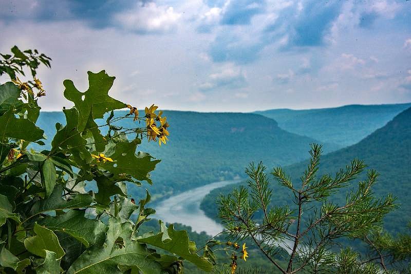 A view of the Tennessee River Gorge.