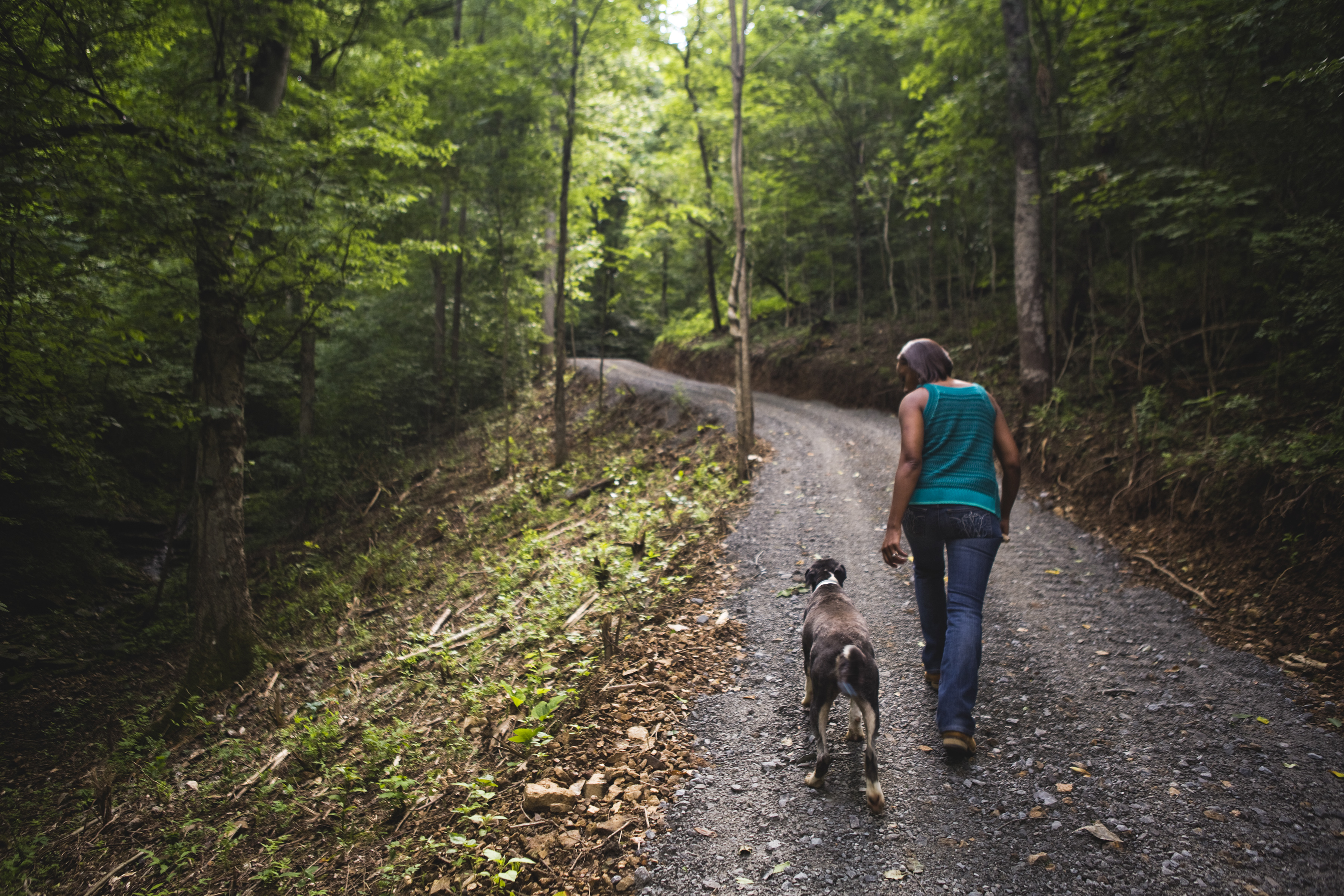 Fawn Weaver, who bought the farm where Nearest Green and Jack Daniel first distilled whiskey, on a wooded road in Lynchburg, Tenn., June 21, 2017. Weaver, a real estate investor and author, is on a mission to ensure that Green, who taught Daniel how to make whiskey, is properly recognized. (Nathan Morgan/The New York Times)