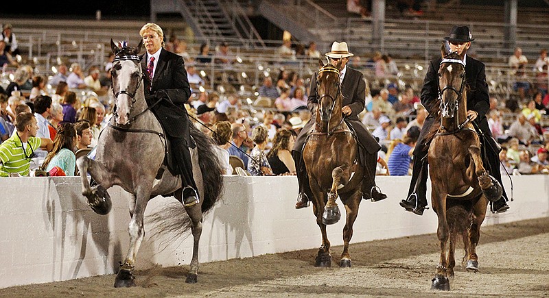 Sherri Pollack, left, on the horse "I'm P. Diddy," Clay Mills, on the horse "Holyfield," and Justin Howell, on the horse "Jose's Bummin' Around," show during the Owner-Amateur Riders on Walking Stallions, 15.2 and Under class at the Tennessee Walking Horse National Celebration in 2012.
