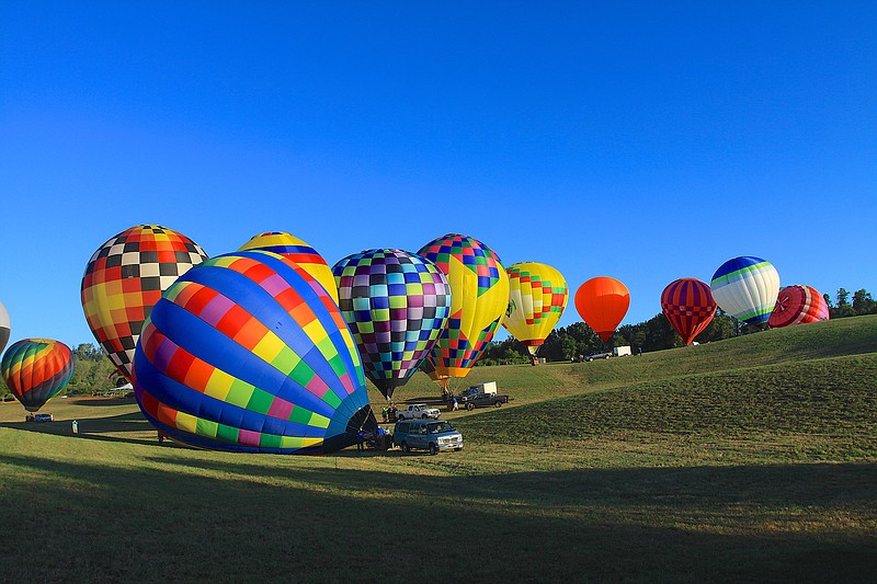 Vividly colored hot-air balloons floating over Tsali Notch Vineyard or in evening balloon glows will make for some great photo-ops at the Muscadine Balloon Fiesta.