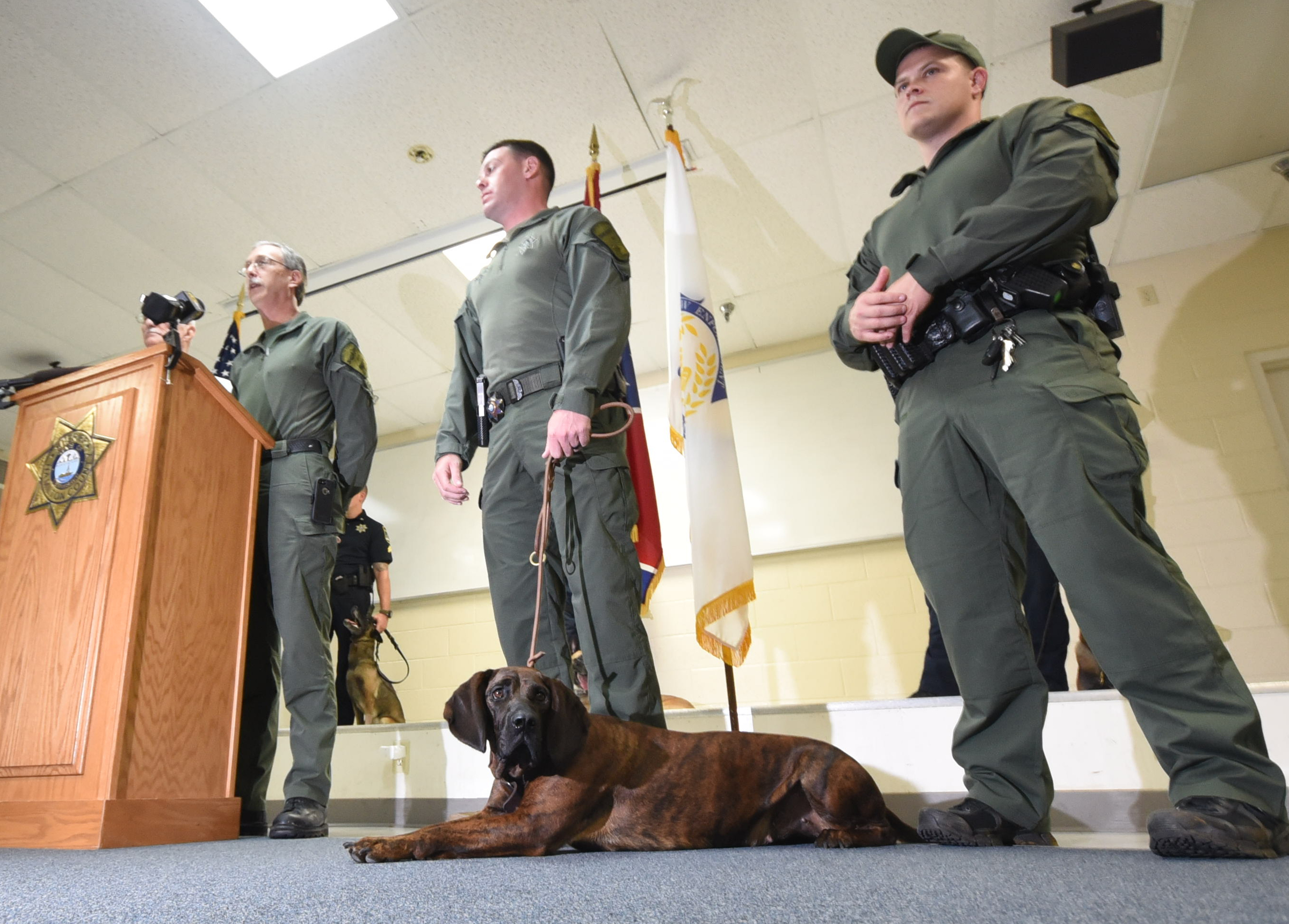 Sgt. Mark Williams, left, 26-year-veteran with the Hamilton County Sheriff Department, introduces Tynne, a 2-year-old tracking dog, that will be under his command Tuesday morning at the HCSO West Annex building on Dayton Blvd. The Hanoverian Hound is from Slovakia. K-9 handlers Chris Walker, center, and Danny Stone stand in at the announcement.