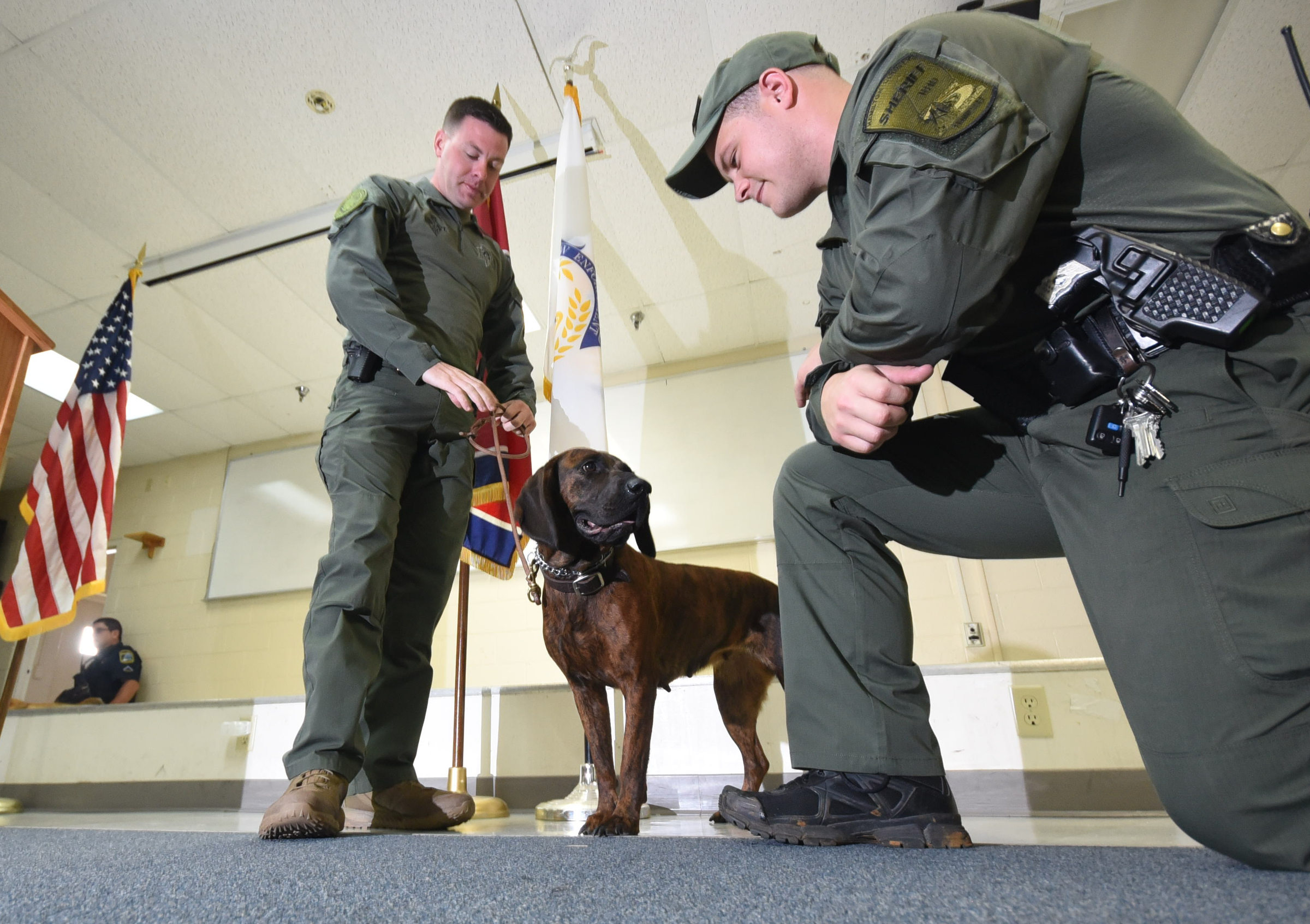 K-9 handlers Chris Walker, left, and Danny Stone flank Tynne, the newest member to the Hamilton County Sheriff's K-9 unit on Tuesday morning. The bloodhound is a Hanoverian Hound from Slovakia, where she was bread. Tynne will be the only tracking dog on staff.