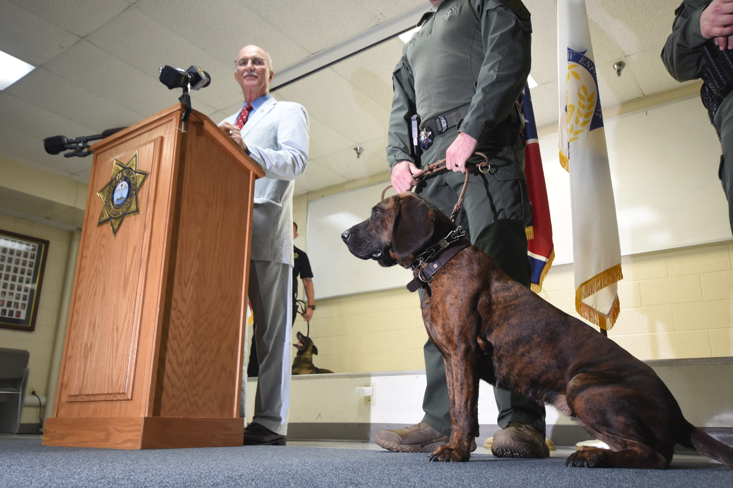 Hamilton County Sheriff Jim Hammond introduces Tynne, a 2-year-old tracking dog, as handlers line up at the HCSO West Annex building on Dayton Blvd. Tuesday morning. The Hanoverian Hound is from Slovakia, "where she was bread to be a world class tracking dog."