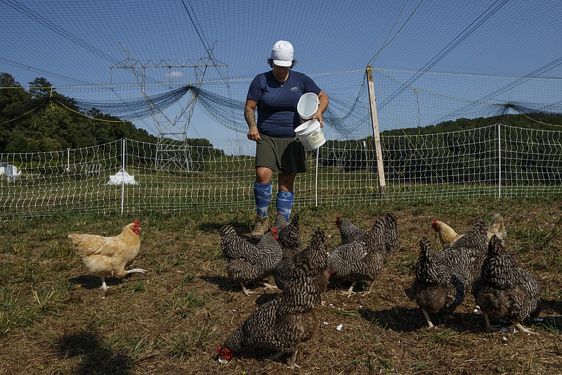 Jessie Gantt-Temple feeds chickens on the farm she runs with her husband Robert Temple on Friday, Sept. 8, 2017, in Soddy-Daisy, Tenn. The farm rotates the where their chickens are housed to help maintain sanitary conditions and prevent growth of infectious bacteria like salmonella.