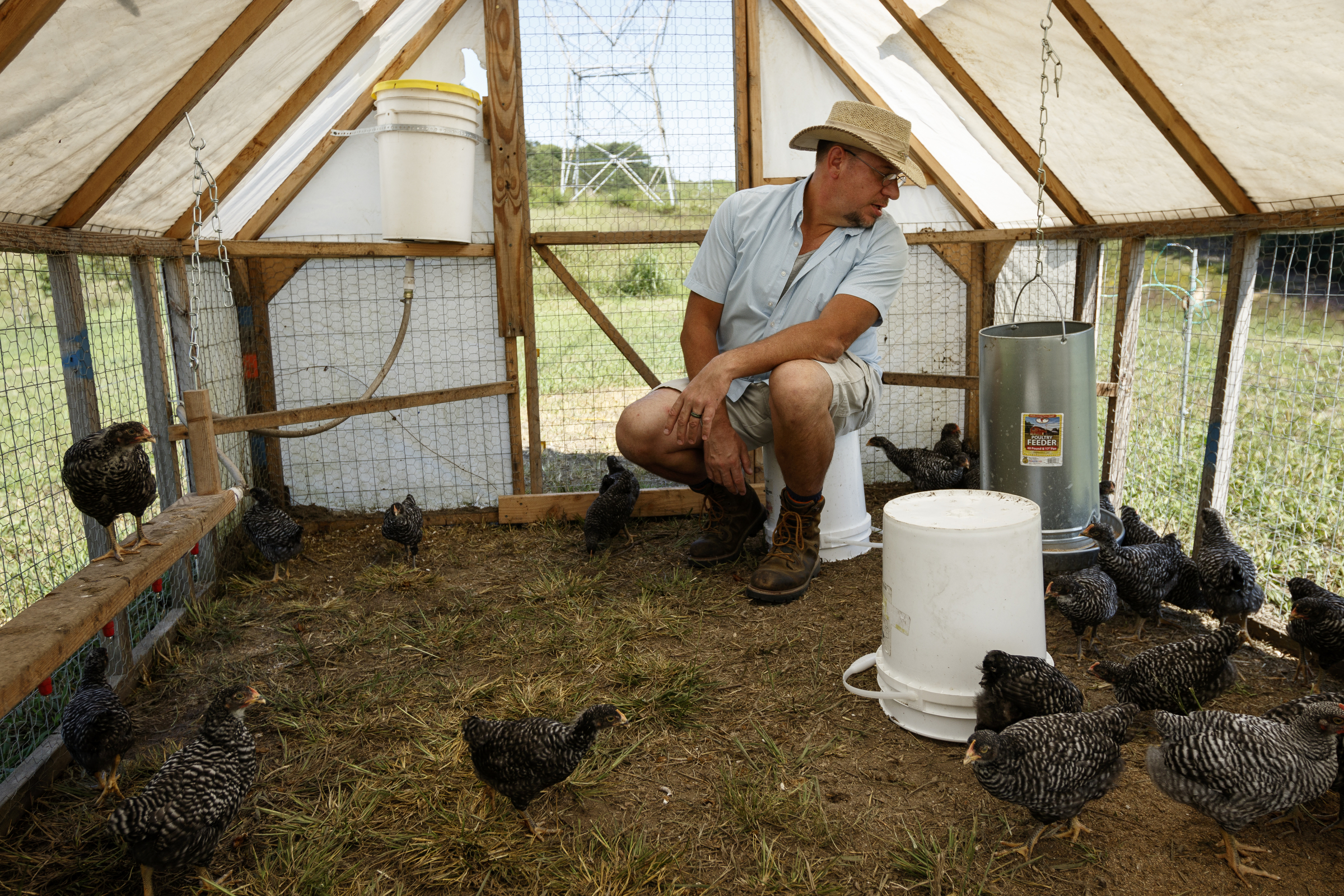 Robert Temple sits in a portable chicken house, called a chicken tractor, on the farm he runs with his wife Jessie Gantt-Temple on Friday, Sept. 8, 2017, in Soddy-Daisy, Tenn. The farm rotates the where their chickens are housed to help maintain sanitary conditions and prevent growth of infectious bacteria like salmonella.