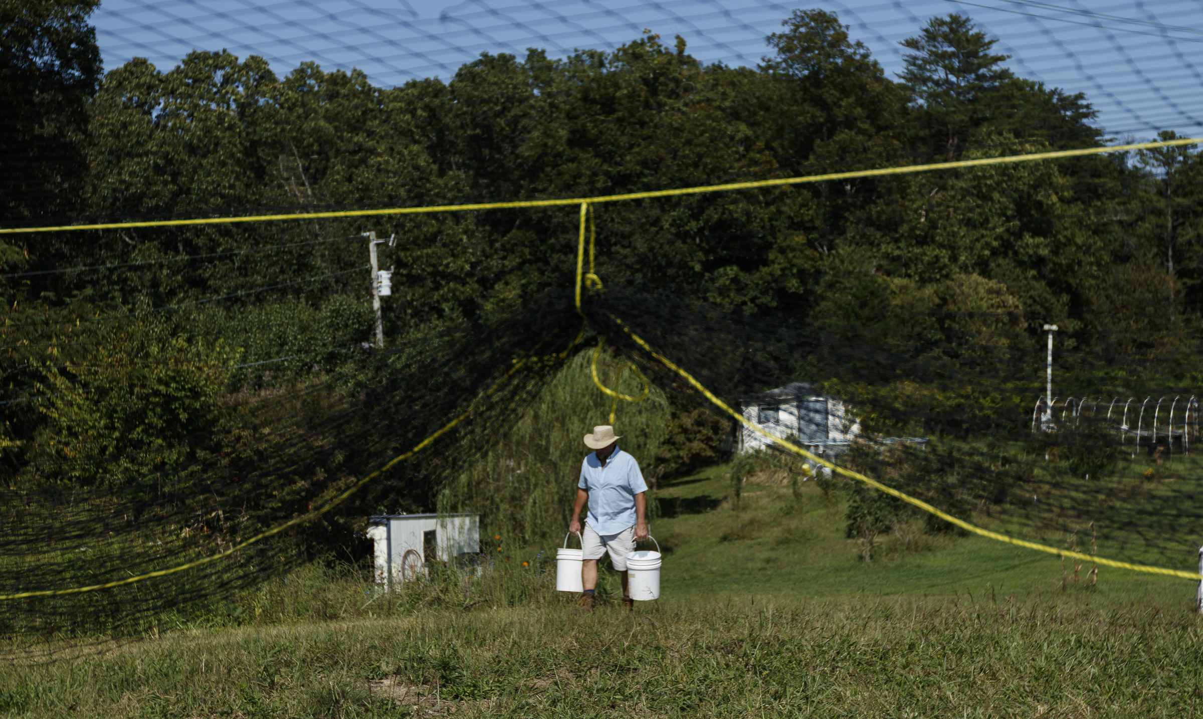 Robert Temple is seen through a net that protects chickens from hawks as he carries water on the farm he runs with his wife Jessie Gantt-Temple on Friday, Sept. 8, 2017, in Soddy-Daisy, Tenn. The farm rotates the where their chickens are housed to help maintain sanitary conditions and prevent growth of infectious bacteria like salmonella.